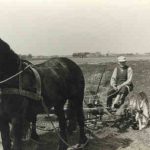 31 Gaastra